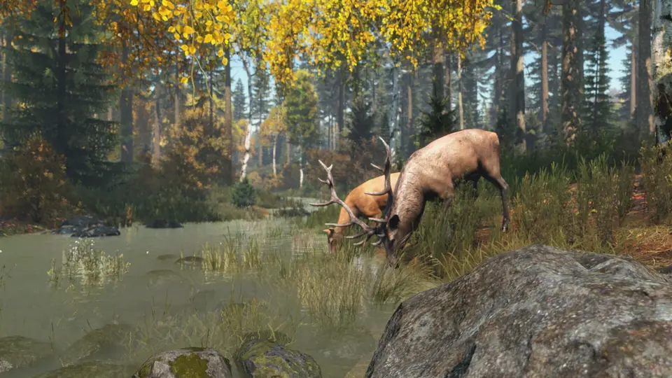 Two deer drinking at a forest pond on the existing DayZ map