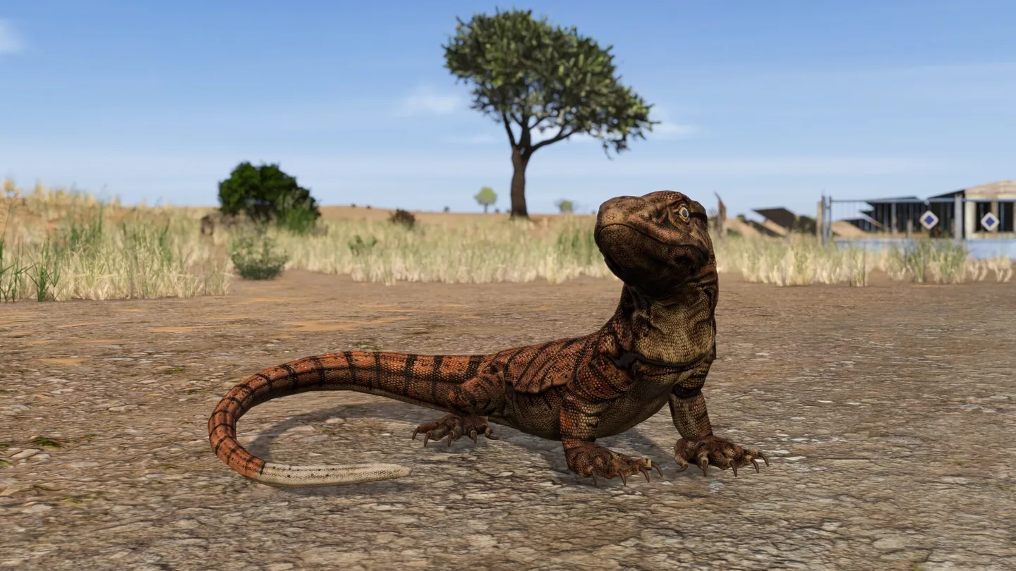 Wildlife Threats: Dogs, Mouflons & Lizards